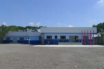 P029